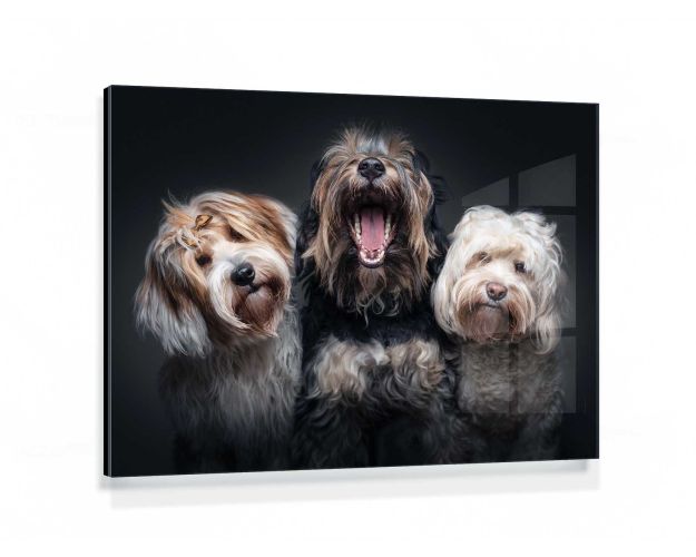 Gallery Board - Dream Team