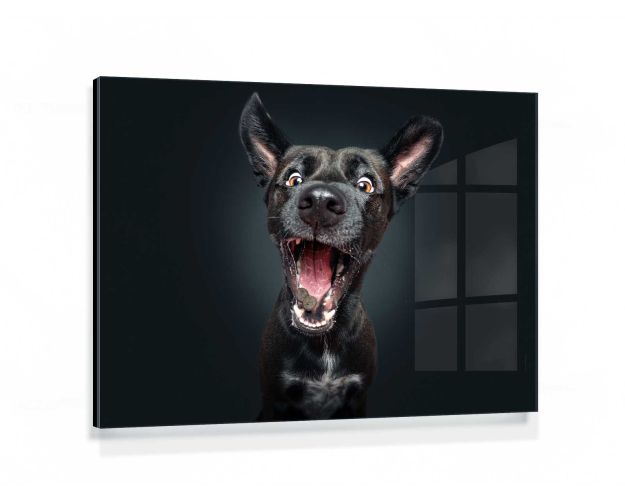 Gallery Board - Got it