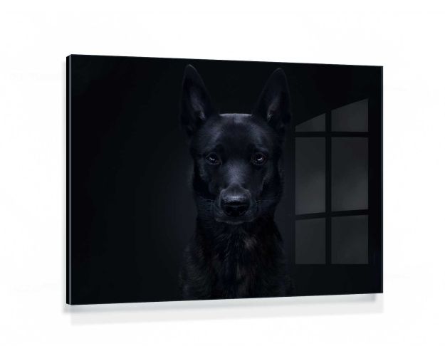 Gallery Board - Joe Black