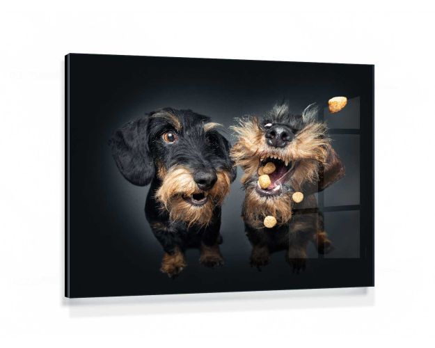 Gallery Board - Life Is Unfair