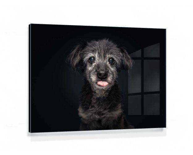 Gallery Board - No Fun