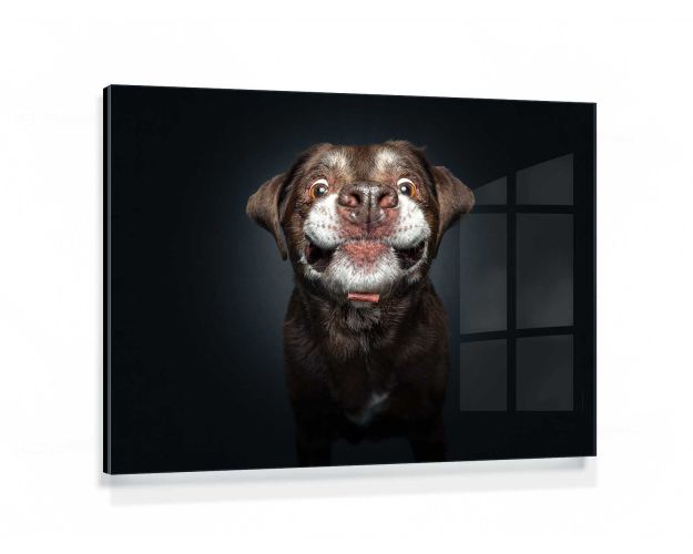 Gallery Board - No No Never