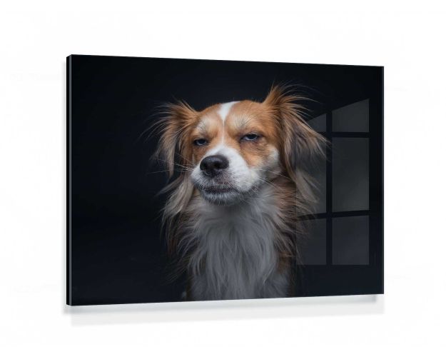 Gallery Board - The Philosopher