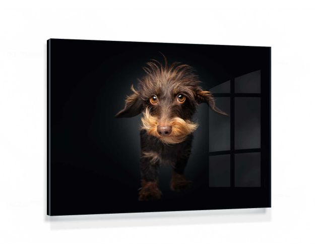 Gallery Board - Please