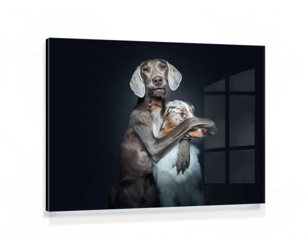 Gallery Board - The Boss