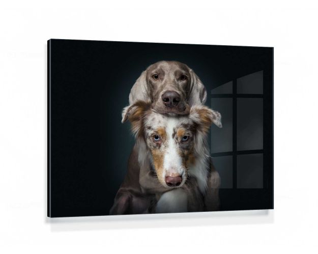 Gallery Board - Together Forever