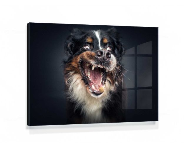 Gallery Board - You Made My Days