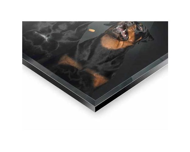 Gallery Board - All For One And One For All