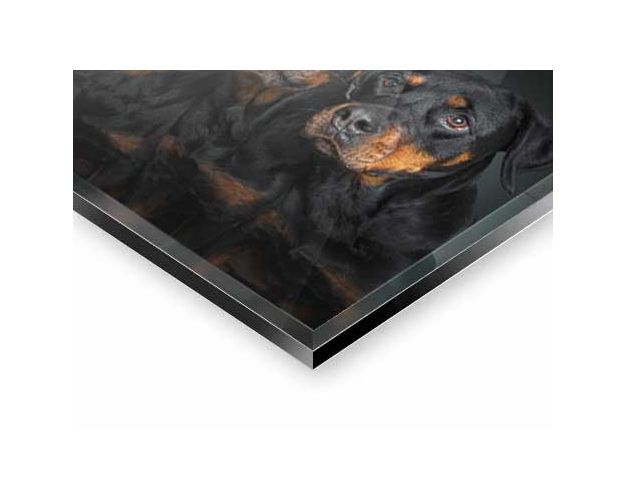 Gallery Board - Anything Else