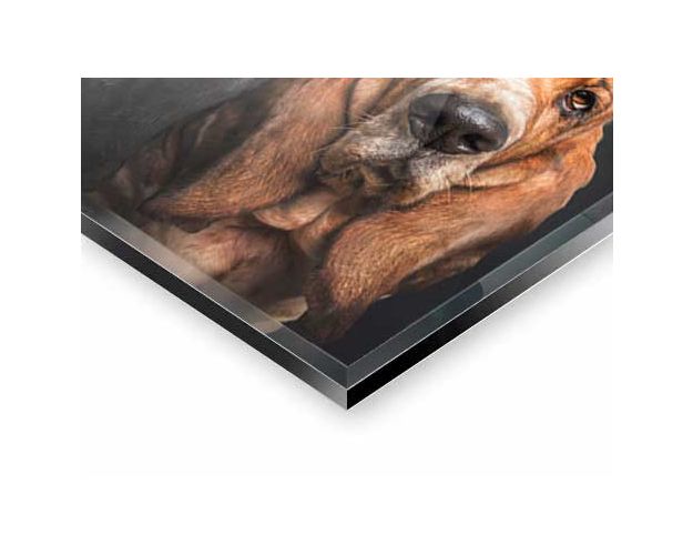 Gallery Board - Anything Happened