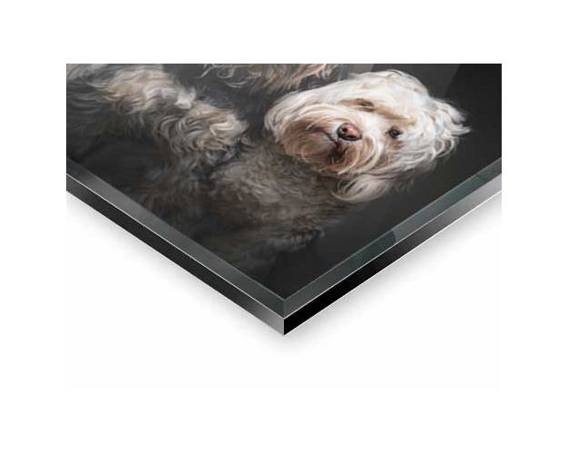 Gallery Board - Dream Team