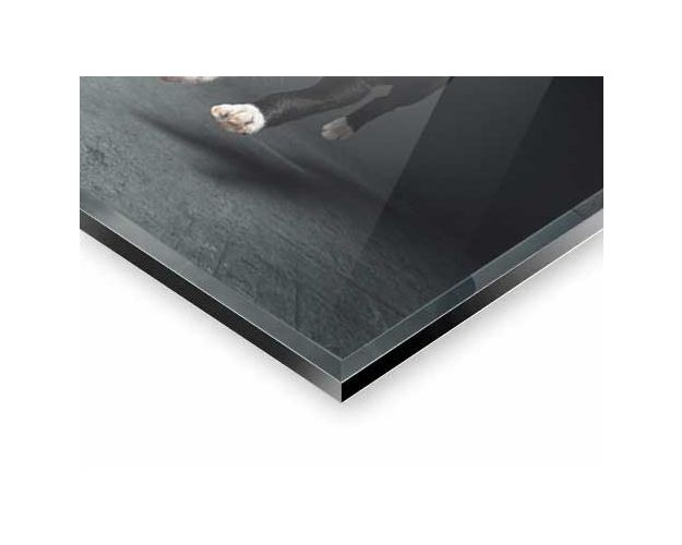 Gallery Board - Jump For Treats