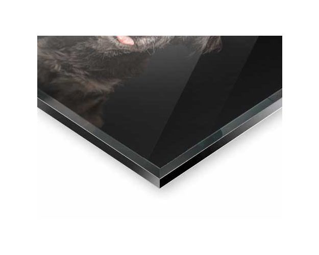 Gallery Board - No Fun