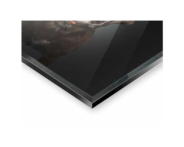 Gallery Board - No No Never