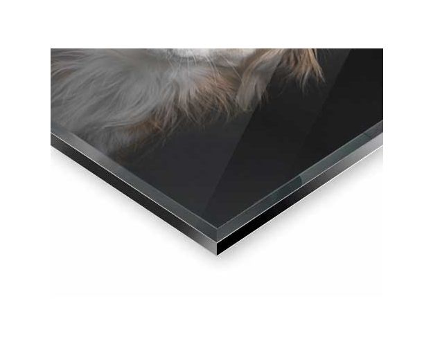 Gallery Board - The Philosopher