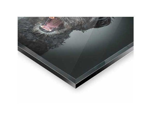 Gallery Board - Rockstar Stevie