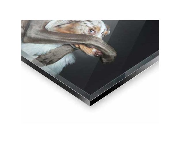 Gallery Board - The Boss