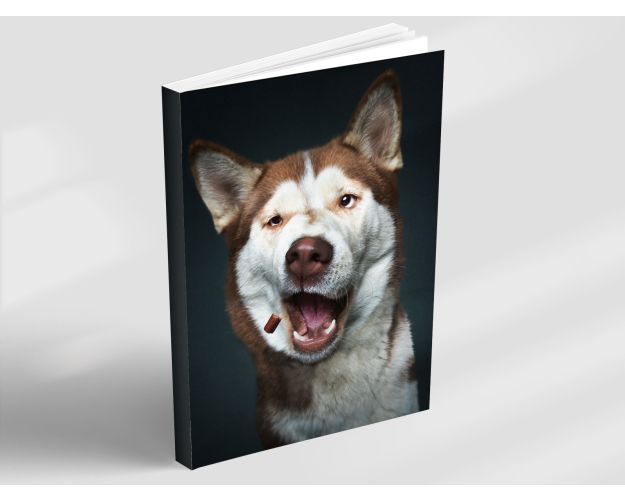 Notebook - Husky Fever