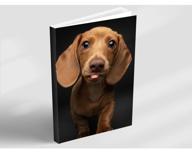 Notebook - Lenni