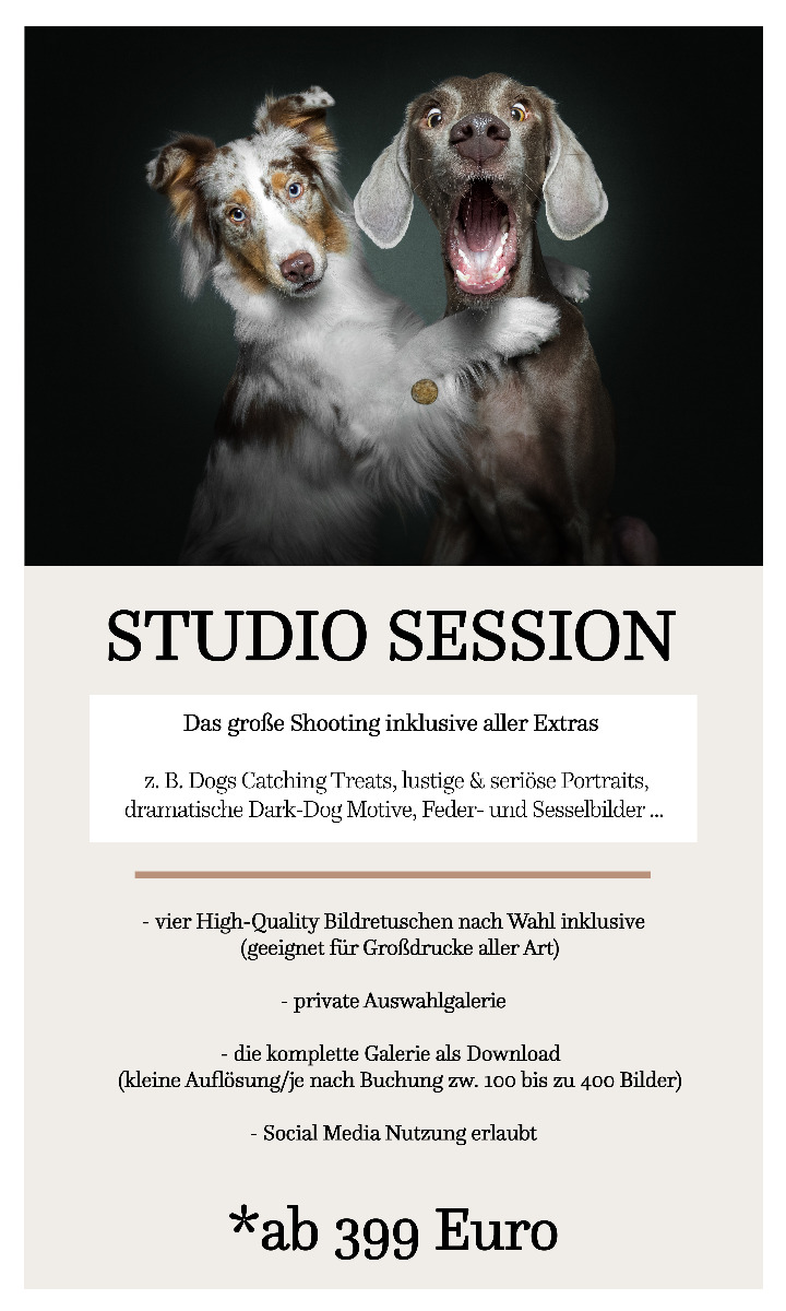 Studio Session Hundefotografie