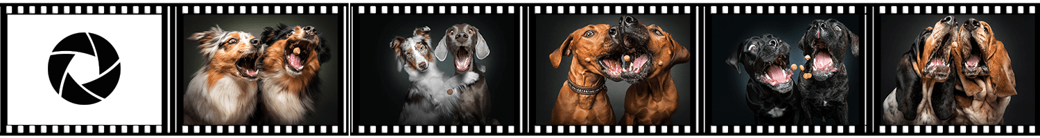 filmstreifen_doubleTrouble