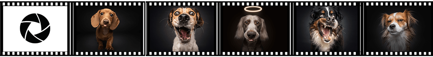 filmstreifen_shooting